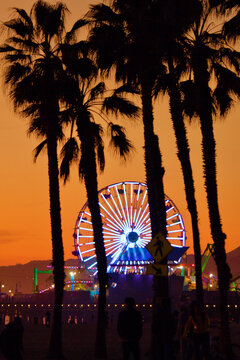 Santa Monica Beach Ferris Wheel And Palm Trees