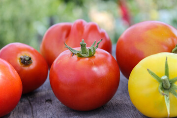 Tomatoes red and yellow in a saucer on a wooden table close up