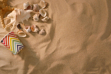 Fototapeta na wymiar Beach background with shells and starfish. Vacation concept. Top view. Flat lay.