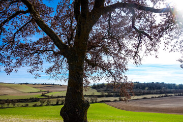 The french Way of "Camino de Santiago" in Winter. Pilgrimages on their journey through Spain