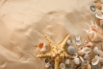 Fototapeta na wymiar Beach background with shells and starfish. Vacation concept. Top view. Flat lay.