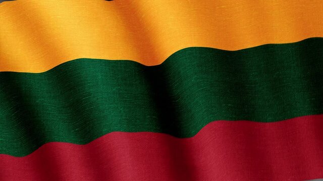 Lithuania. State flag of the country