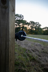 Close up shot of an electrical fence showing a pole and the holder for the electrical wire
