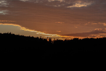 Silhouette of a dark tree line against a sunset. The sunlight is reflected in a line of clouds.