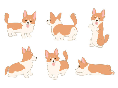 Set of cartoon welsh corgi on white background.