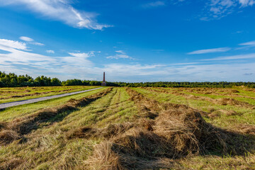 Round bail of hay in a field.