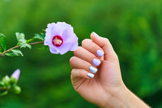 Female Manicure With Color Nail Polish And Silver Glitter Against The Background Of Flowers In A Park Outdoors