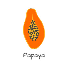 Isolated vector papay icon. Orange fruit