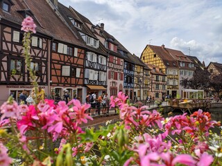 Fototapeta na wymiar Colmars fleurs route des vins d'Alsace, plus beau village de france avec maison en bois poutre et charpente architacture traditionnel vieille ferme à colombage