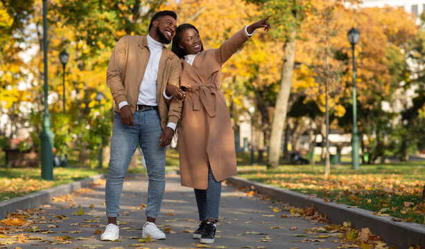 Millennial african american couple walking on alley in autumn park