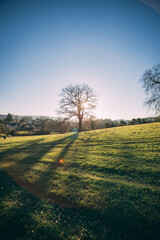 cotswolds landscape