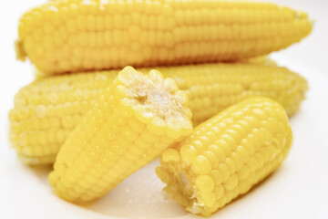 boiled sweet corn on a white plate. corn with sugar.