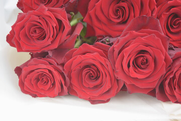 Red large roses on a white background. A bouquet of fresh flowers. A romantic gift.