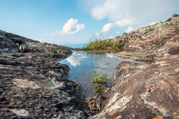 water pond in the mountains