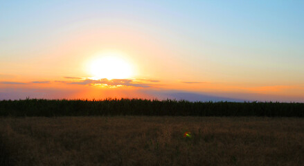 sunset in the field