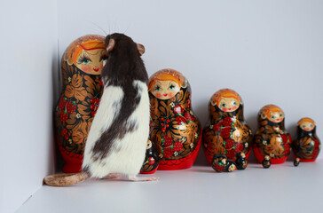Decorative black and white rat sniffs toys.Many red wooden dolls matryoshka. Traditional Russian...