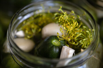 Polish pickled cucumbers ready for preserving with dill, garlic, horseradish and pepper