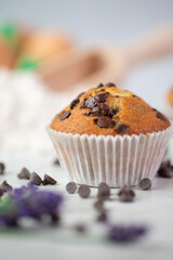 Baked muffins with chocolate drops