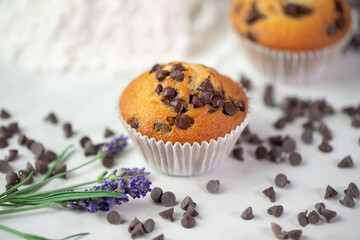 Baked muffins with chocolate drops