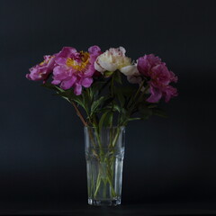 Naklejka na ściany i meble pink and white peonies in a delicate bouquet on a black background