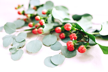Red berrys flowers on white background. Fresh hand-picked forest Cowberry isolated on white background