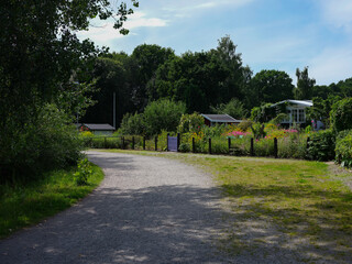 Fototapeta na wymiar View of a dirt road with entrance to a garden area with cottages in Sweden. It is a hot summers day and the garden is in full bloom.