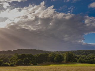 View of a field in Sweden with lush forest in the background. A large cloud formation is seen with sun shining through the clouds from the left in this scenic photo.