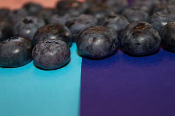 Blueberries on a colored background