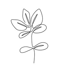 One line continuous of leaves, single line drawing art, tropical leaves,  botanical leaf isolated, simple art design, abstract line, vector