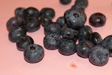 Blueberries on a colored background