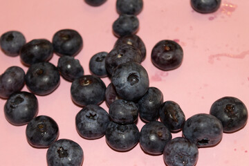 Blueberries on a colored background