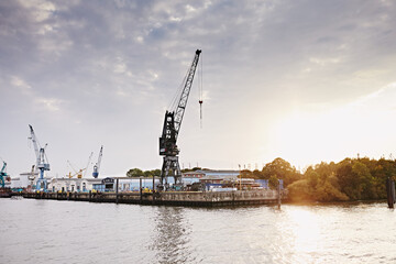 Fototapeta premium Cranes in the port