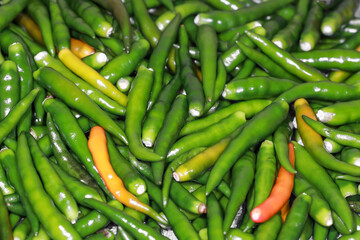 Spicy fresh thin long green chilies 
