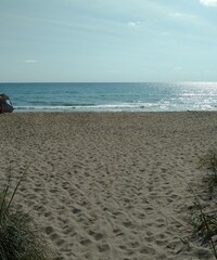 Footprints in the sand at the ocean