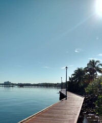 Boardwalk along the River at a Park with Palm Trees