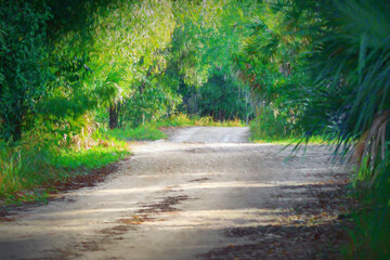 Impressionistic rendtion of tropical road