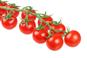 the cherry tomatoes on a branch isolated on white background
