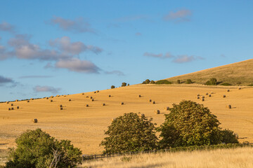 Obraz premium Hay Bales in a Sussex Field