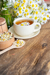 cup of herbal chamomile tea and daisy flowers. doctor treatment and prevention of immune concept, medicine - folk, alternative, complementary, traditional medicine