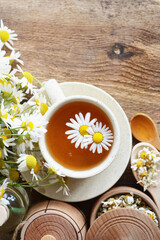 cup of herbal chamomile tea and daisy flowers. doctor treatment and prevention of immune concept, medicine - folk, alternative, complementary, traditional medicine