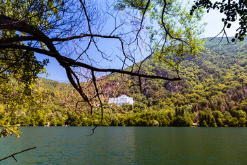 Lake in green Forest Italy