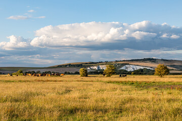 A Rural Sussex Landscape © lemanieh