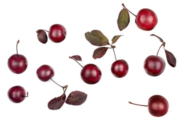 Cherry plums isolated on white, top view