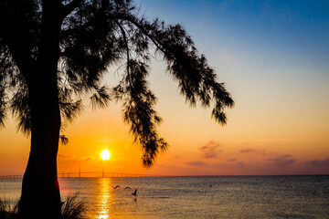 Sunrise over Skyway Bridge near Tampa.