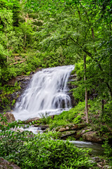 Fototapeta na wymiar Verdant green foliage surrounds Glen Cannon Falls after heavy rain.