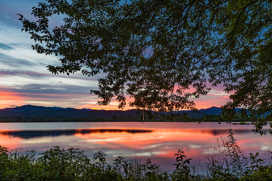 Wilson Lake, spring 2018, Pisgah Forest with large tree at sunset