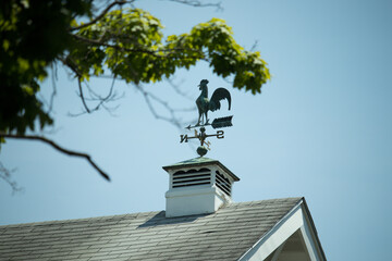 Anyway the Wind Blows