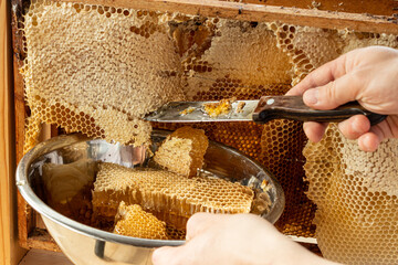 The beekeeper cuts off the honeycomb with honey. In the hand of a knife in wax and liquid sweet honey. The bowl contains a honeycomb with nectar. The celebration of the national day of the honey bee.