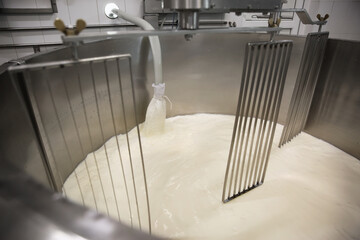 Pouring milk into curd preparation tank at cheese factory