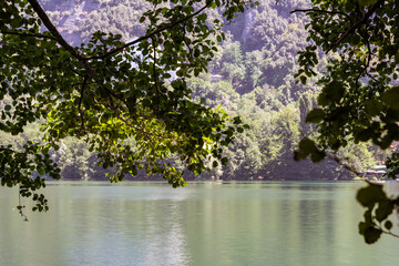 Lake in green Forest Italy